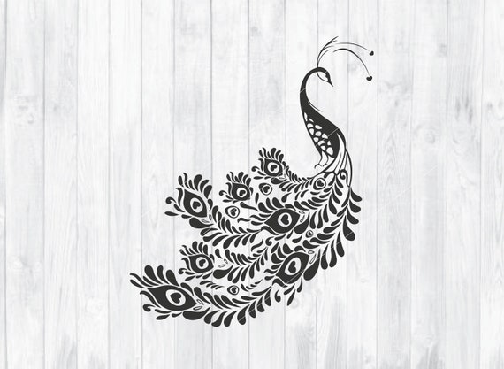 Peacock SVG Peacock Decor INSTANT DOWNLOAD Peacock Vector | Etsy Canada