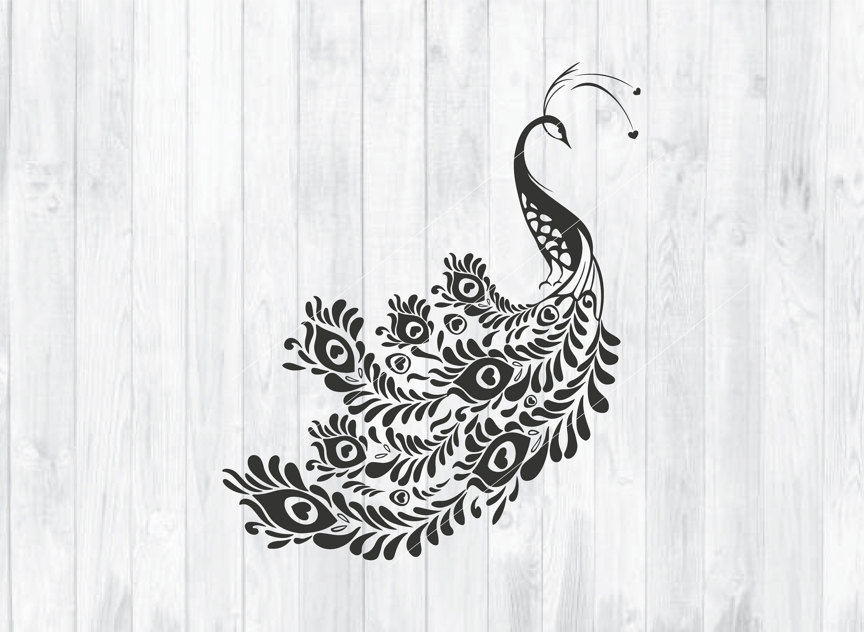 Peacock SVG Peacock Decor INSTANT DOWNLOAD Peacock Vector Etsy UK