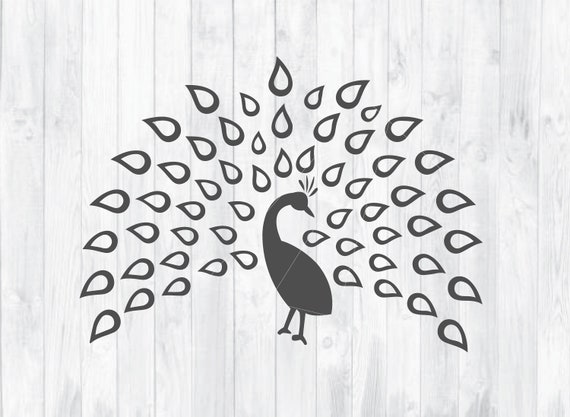 Download Peacock Svg Peacock Decor Instant Download Monogram Frames Etsy