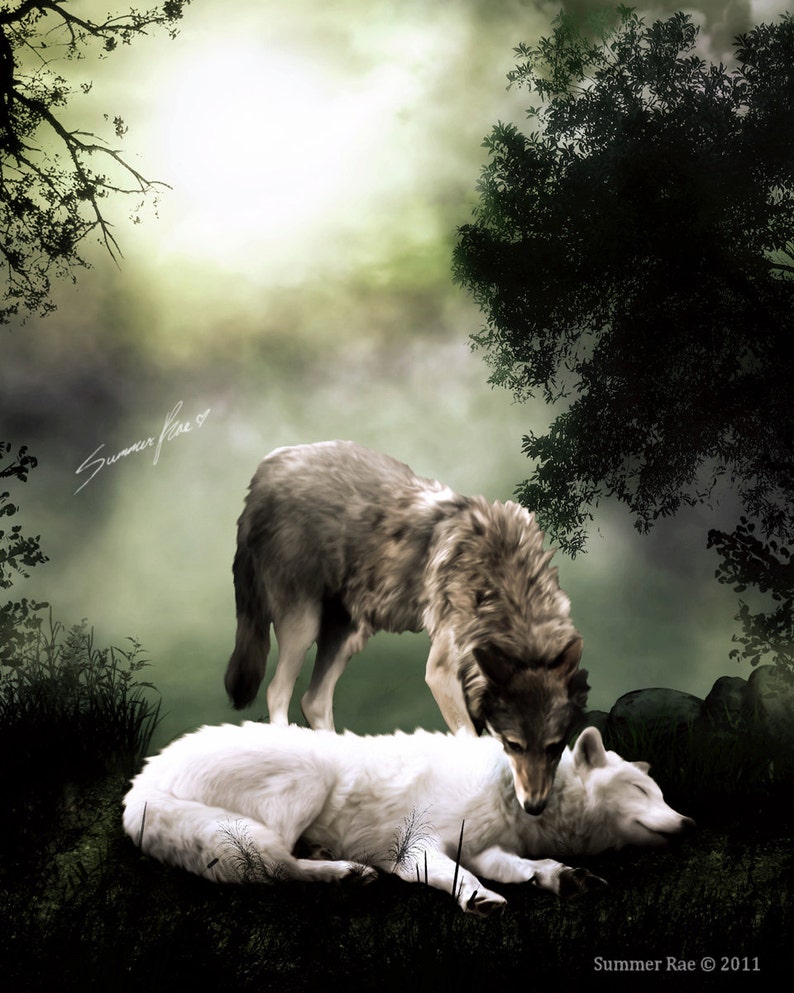 May include: A gray wolf stands over a white wolf lying down in a misty forest setting. The gray wolf is looking down at the white wolf, and the white wolf has its eyes closed. The background is a soft green and white, with trees and fog.