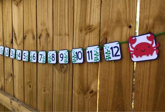 Ocean Newborn Photo Banner Under The Sea Photo Banner Milestone