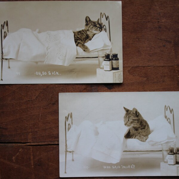 Two Strange Real Photo Postcards Sick Cat Posed in Bed with Medicine Bottles - Unusual Weird Anthropomorphic Animal RPPC Found Photograph