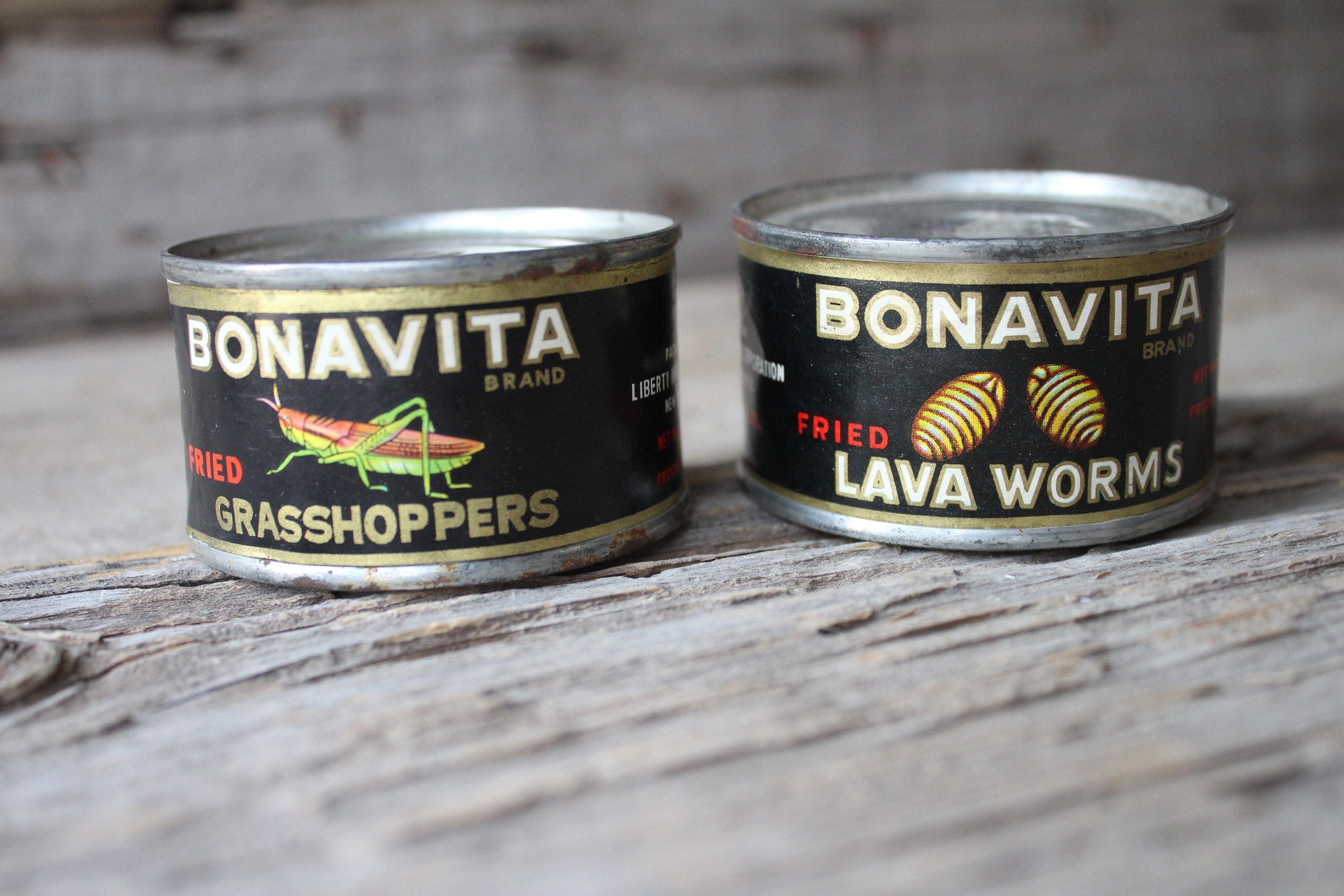 Gourmet Fried Grasshoppers and Lava Worms Vintage Tins Liberty