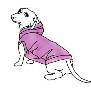 Molde em PDF para camisa de Dachshund – Molde de roupa para cachorro salsicha