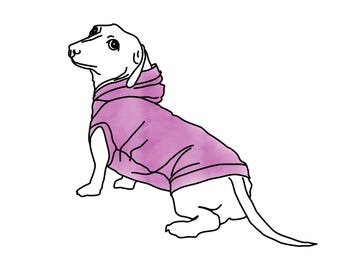 【予約生地】バレンタイン　ダックスフンド　パネル生地　９柄 ダックスフンドの服の縫製パターン ソーセージ犬用パジャマ 犬用服