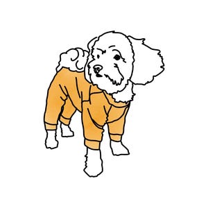 PDF Schnittmuster für großen Hundepajama