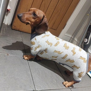 dachshund dog sewing pattern with pants, dachshund clothes with hood, weiner dog shirt with turtleneck, dachshund turtleneck, turtleneck dog t-shirt pattern