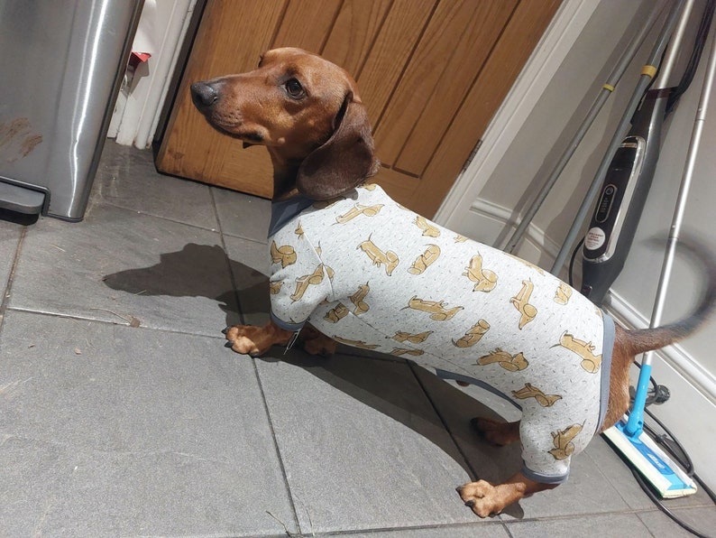 dachshund dog sewing pattern with pants, dachshund clothes with hood, weiner dog shirt with turtleneck, dachshund turtleneck, turtleneck dog t-shirt pattern