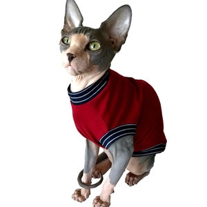 cute cat gift, sphinx cat clothes, sphinx cat clothing pdf sewing pattern, sphinx kitten clothes, cat sweater for cats, hairless cat clothes, sphinx cat clothing, pet shirts for cats