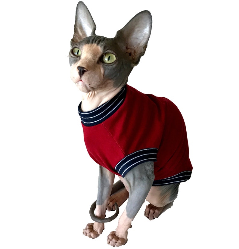 Sphynx Cat Sweater PDF Sewing Pattern Etsy UK