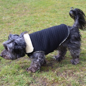 6 Sizes Dog Jacket PDF Sewing Pattern LARGE 13-18 Timmy image 3