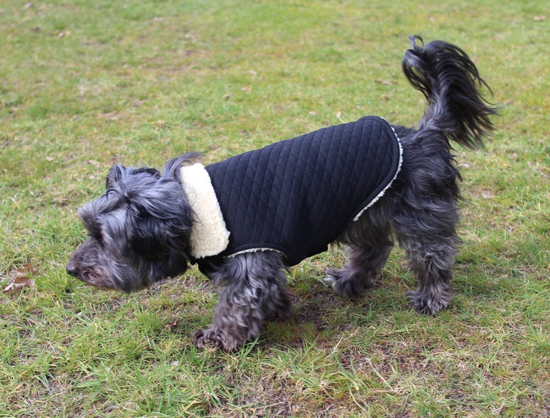 6 Sizes Dog Jacket PDF Sewing Pattern LARGE 13-18 Timmy image 3