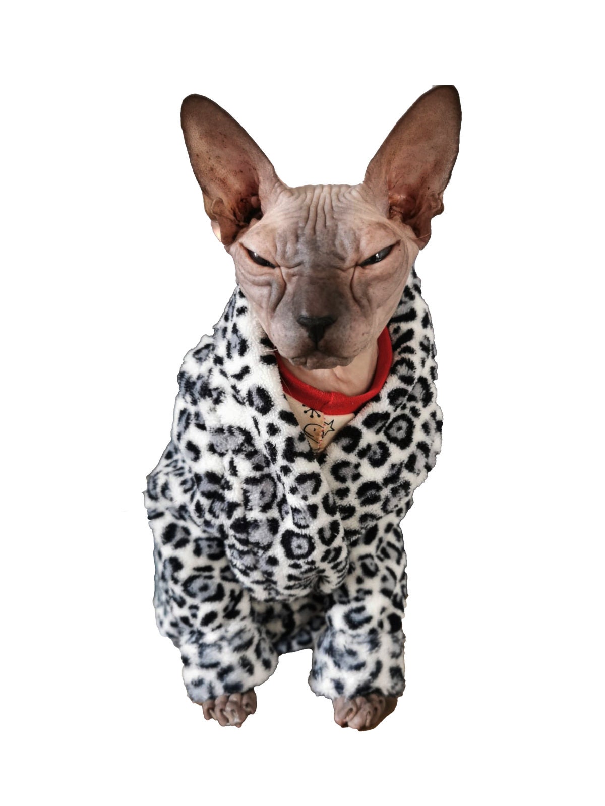 Sphynx Cat Robe PDF Sewing Pattern Etsy Australia