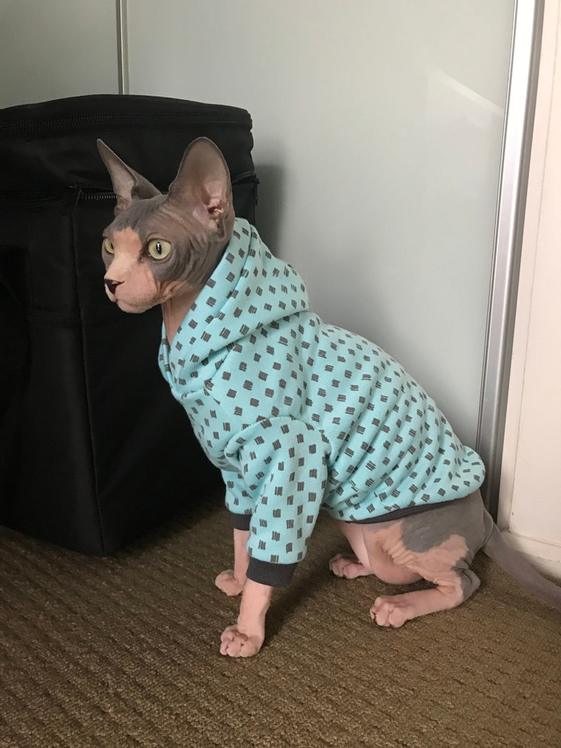 cat gifts, gifts for cats, cat sweater for cats, cat, cat shirt, cat shirt for cats, cute cat shirt, cute cat sweater, pet hoodie, hoodie for pet, hoodie for cat, sphinx cat clothing