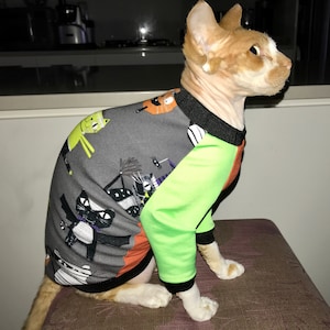 Sphinx cat shirt with raglan sleeves diy cat jumper cat shirt for cats pdf sewing pattern sphinx kitten clothes