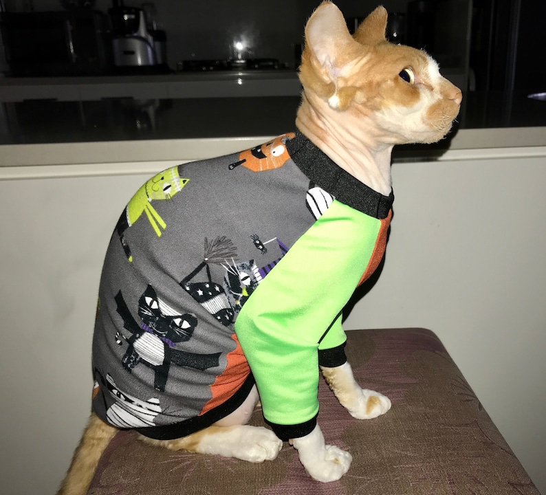 Sphinx cat shirt with raglan sleeves diy cat jumper cat shirt for cats pdf sewing pattern sphinx kitten clothes