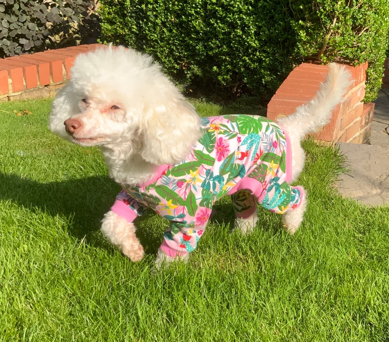 Dog Pyjama PDF Sewing Pattern All Sizes Bundle Etsy UK