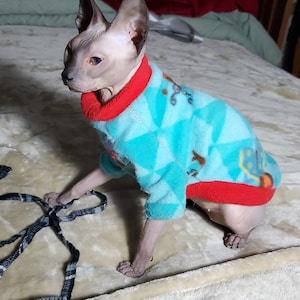 Sphinx cat kitten wearing a fleecy sweater cute cat shirt cat sewing pattern pdf sphynx kitten clothes downloadable cat clothes easy cat clothes
