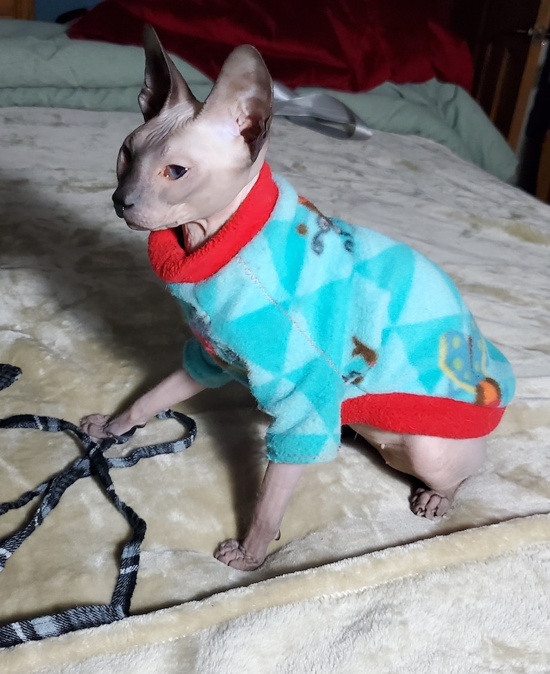 Sphinx cat kitten wearing a fleecy sweater cute cat shirt cat sewing pattern pdf sphynx kitten clothes downloadable cat clothes easy cat clothes