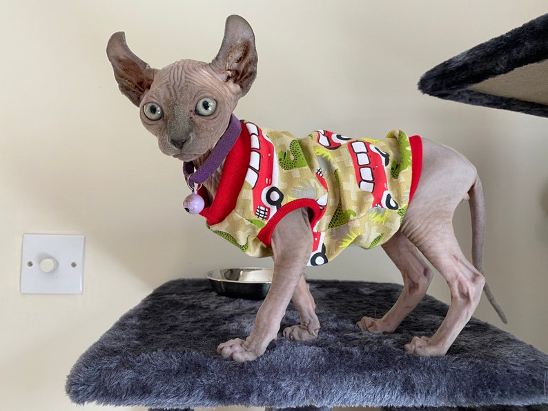 Cat t-shirt, cat clothes, clothes for cats, cat sewing pattern, cat pdf pattern, sphynx cat clothes, hairless cat sweater, cat sweater, cat turtleneck, pet hoodie, pet sweater, pet hoodie sewing pattern