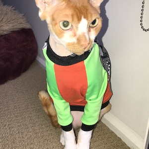 Cute cat wearing raglan sleeve cat sweater made of jersey pdf sewing pattern gift for cats cute cat t shirt
