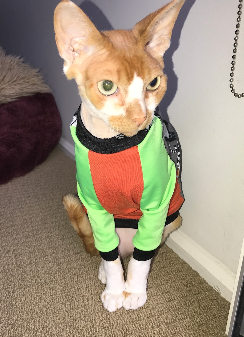 Cute cat wearing raglan sleeve cat sweater made of jersey pdf sewing pattern gift for cats cute cat t shirt