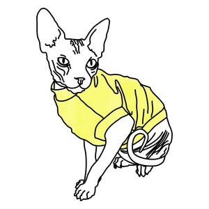 Sphynx Cat Hoodie Sewing Pattern PDF – Cat Turtleneck & Sweater Pattern for Hairless Cats