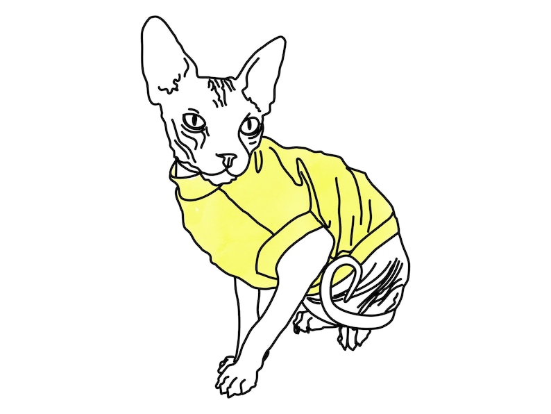 Sphynx Cat Hoodie Sewing Pattern PDF – Cat Turtleneck & Sweater Pattern for Hairless Cats image 1
