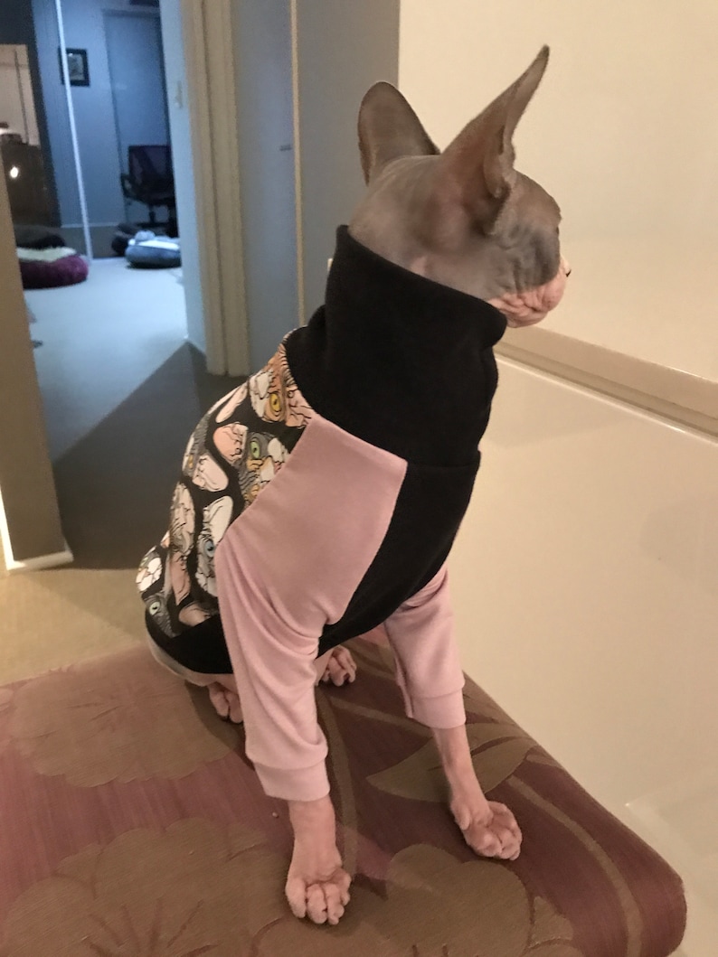 cat gifts for cats cute cat shirt sphynx cat sweater pdf sewing pattern sphinx kitten clothes cat clothes pattern sweater for cats