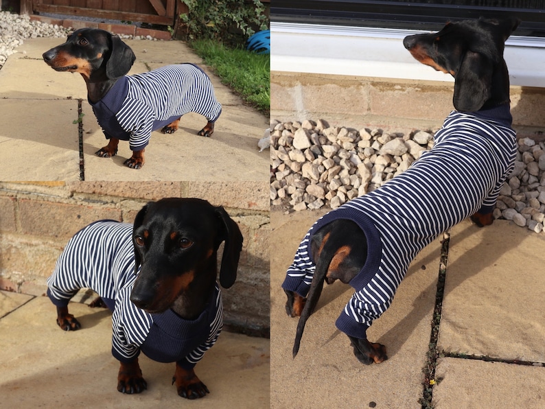 Dachshund Clothes Sewing Pattern Pajamas for Sausage Dog Etsy