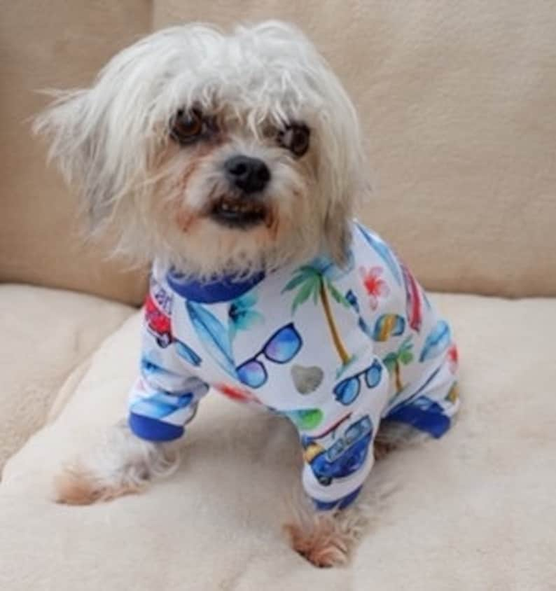 Cute little dog wearing pajamas, little dog clothes, pet clothes for small dogs, dog pajamas, dog suit all in one for dogs