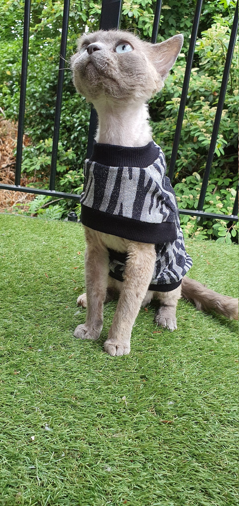 Sphynx Cat Shirt PDF Sewing Pattern Etsy Canada