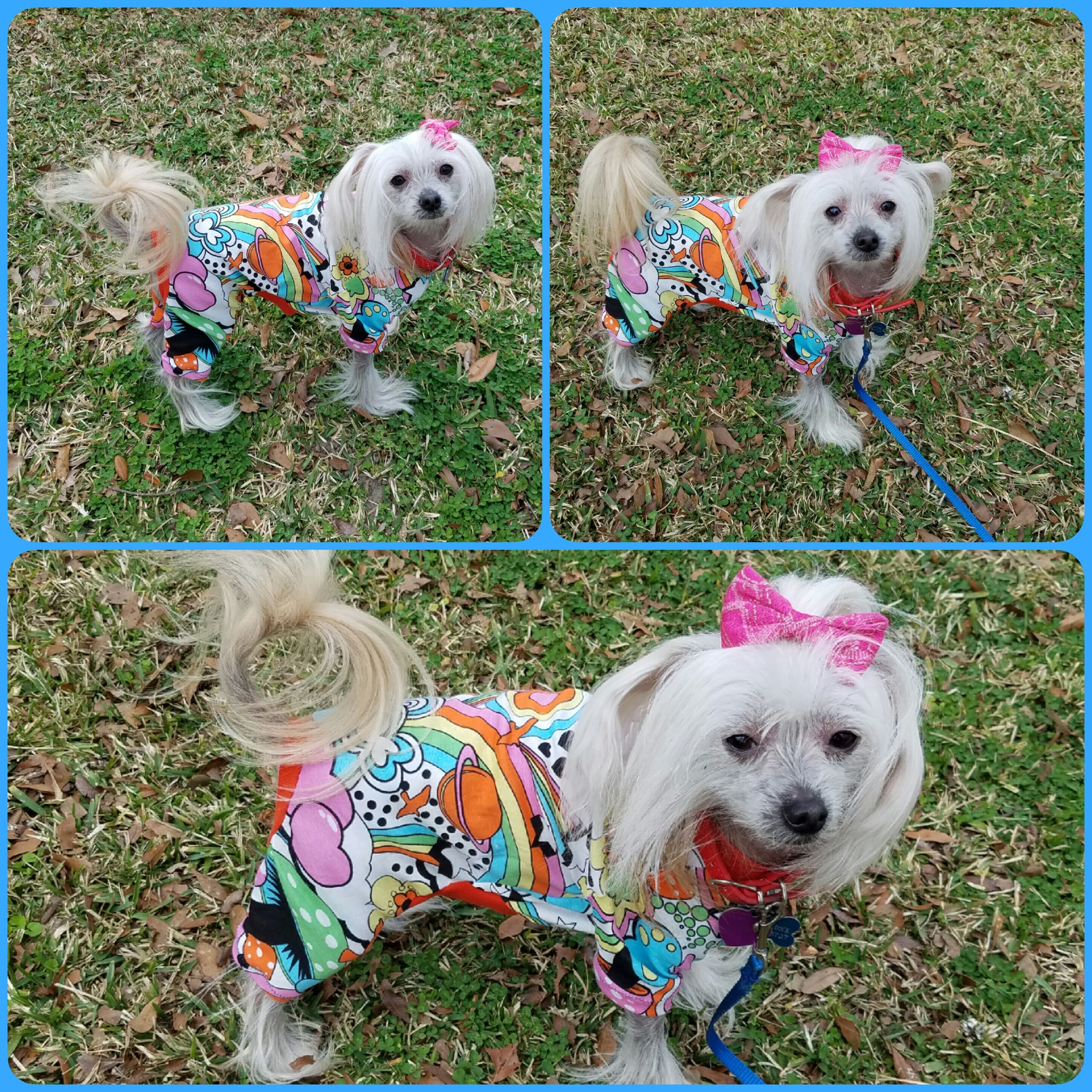 Small Dog Pajama Sewing Pattern PDF Dog Clothes Pattern for - Etsy