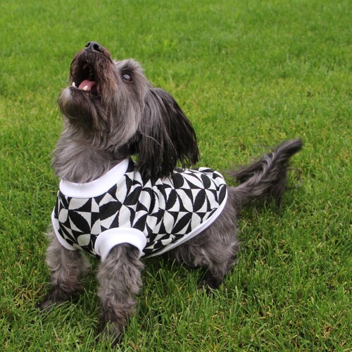 Dog Raglan Tee Shirt PDF Sewing Pattern Sizes XS / S / M / L / Etsy