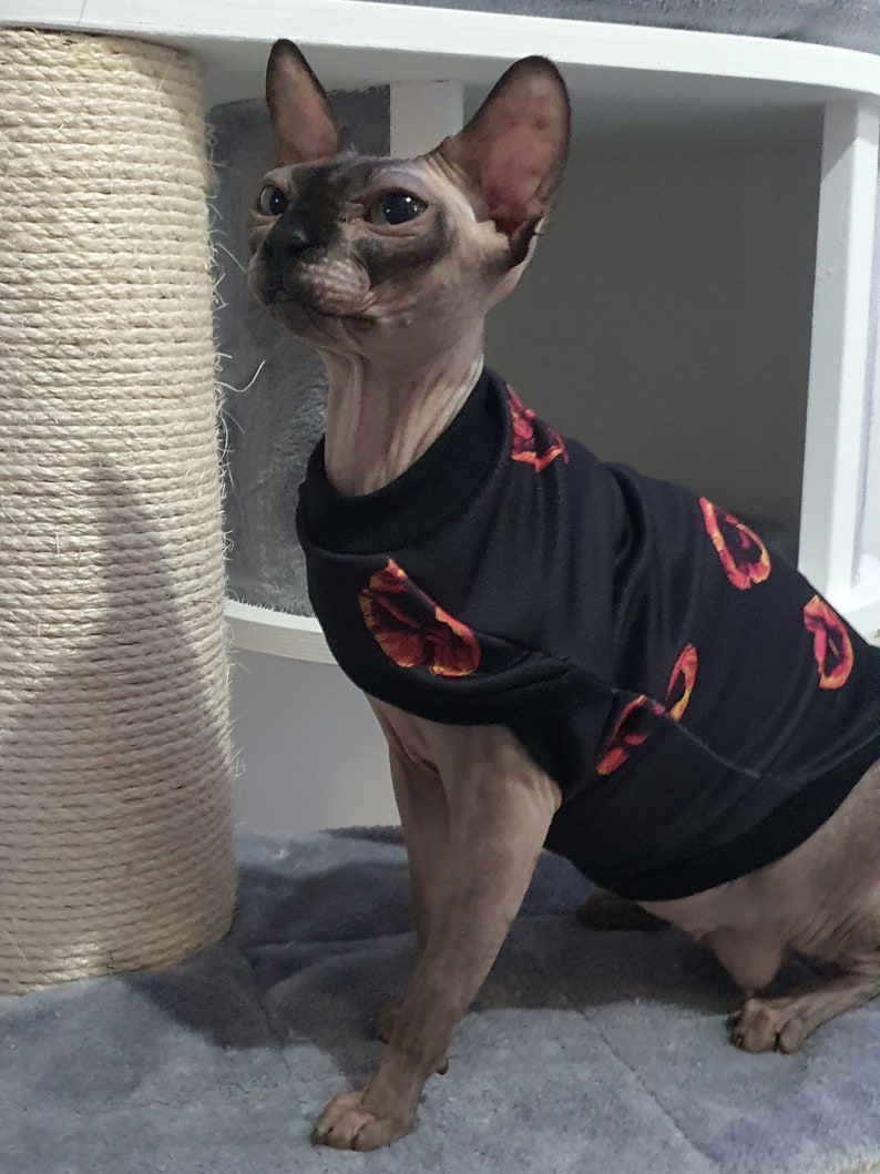 Sphynx clothing, sphinx cat pdf pattern, hairless cat sweater, great gift for cats, cat sweater, sphynx kitten clothing, cat tee, cat shirt for cats