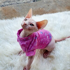 Cute cat sweater, sphynx sweater, sphynx cat sweater, sphynx kitten clothes, cute sphynx kitten wearing a pink sweater, hairless cat clothes, hairless cat breed sweater, sphynx cat tshirt, cat shirt sewing pattern