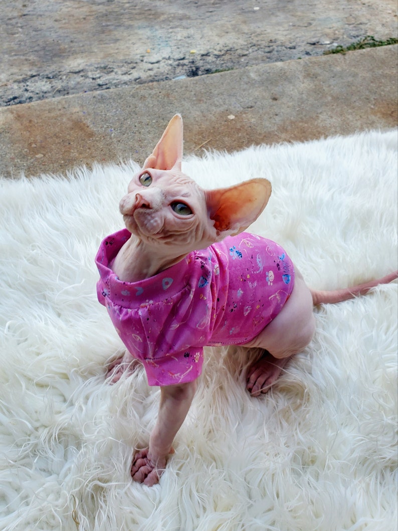 Cute cat sweater, sphynx sweater, sphynx cat sweater, sphynx kitten clothes, cute sphynx kitten wearing a pink sweater, hairless cat clothes, hairless cat breed sweater, sphynx cat tshirt, cat shirt sewing pattern