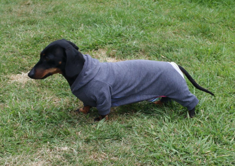 dachshund outfits sewing pattern, dachshund dog clothing for weenie dog gifts, dachshund sewing pattern pdf, wiener dog hoodie weenie dog clothes