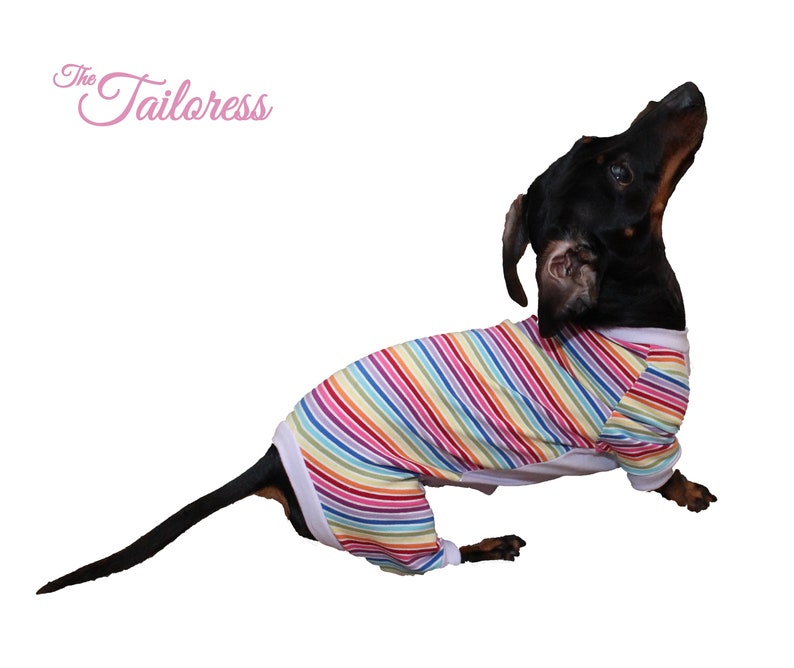 weenie dog clothes, four legged suit for dachshunds, sausage dog clothing, clothes for dachshund sewing pattern pdf