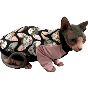 Sphinx at wearing handmade sphynx cat sweater with sleeves raglan sleeve cat sweater made of jersey fabric cat sewing pattern pdf