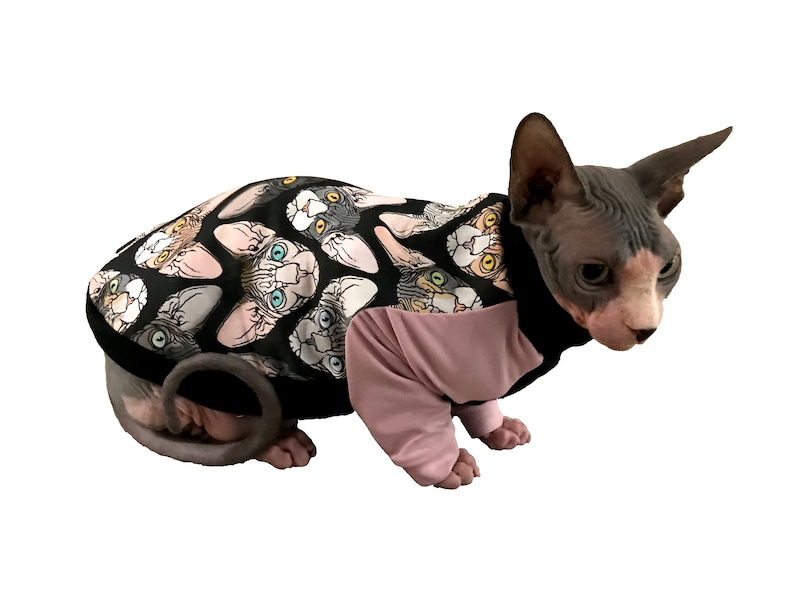 Sphinx at wearing handmade sphynx cat sweater with sleeves raglan sleeve cat sweater made of jersey fabric cat sewing pattern pdf