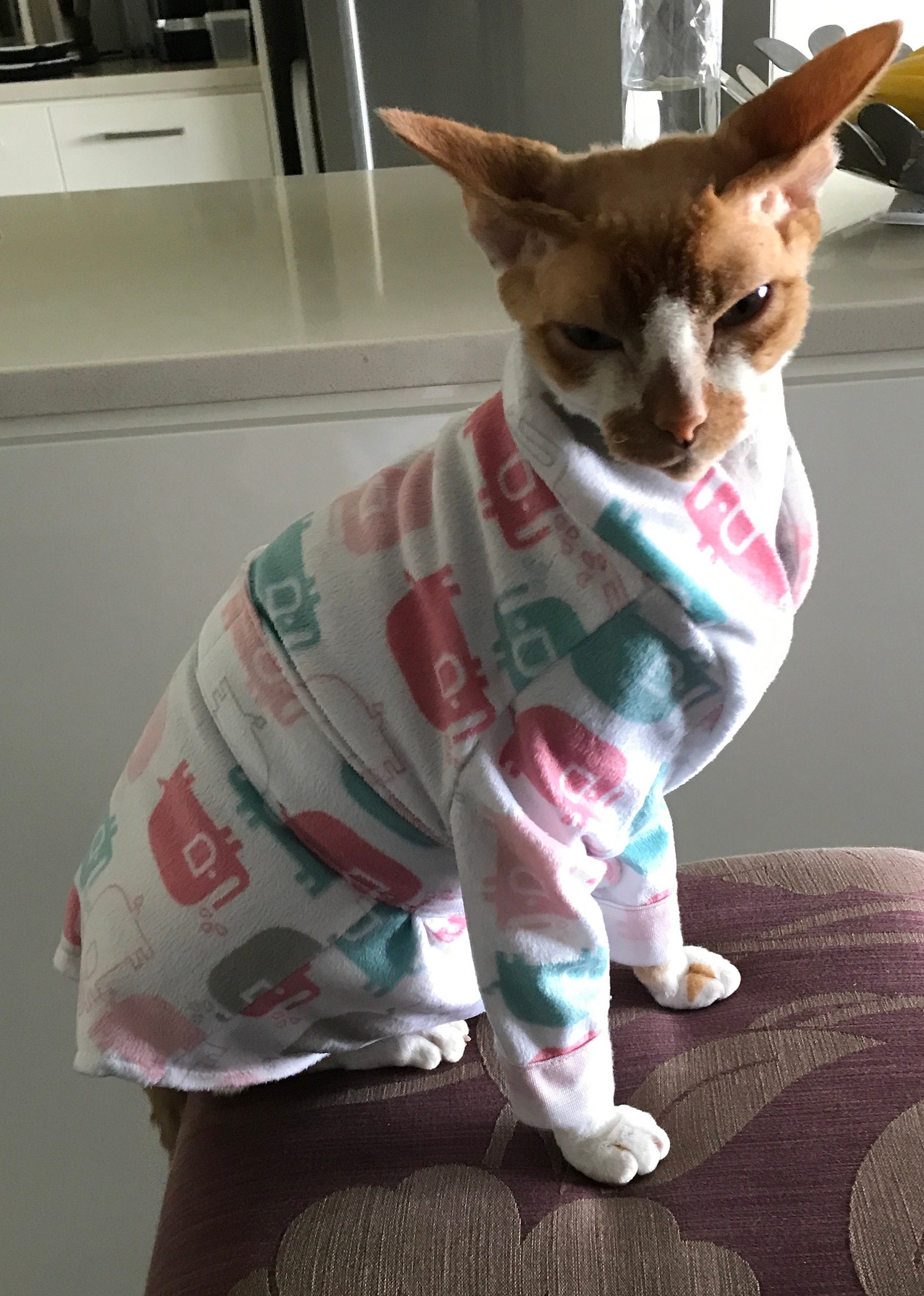 Sphynx Cat Robe PDF Sewing Pattern Etsy