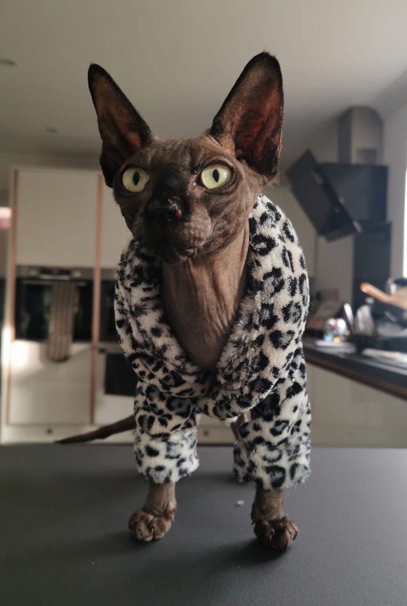 Sphynx Cat Bathrobe Sewing Pattern, Comfy Wrap (PDF Pattern) - Etsy