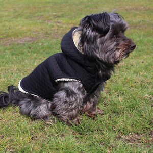 6 Sizes Dog Jacket PDF Sewing Pattern LARGE 13-18 Timmy image 6