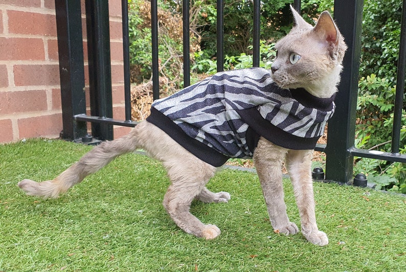 Cute cat shirt, cat clothing, cat sweater pattern, sphynx kitten clothing, sphynx sweater, cat sewing pattern pdf