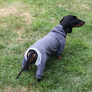 All in one suit for dachshund, weenie dog, sausage dog pattern, sausage dog clothes, gift for sausage dog
