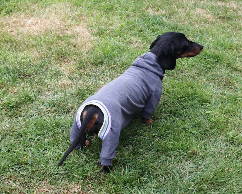 All in one suit for dachshund, weenie dog, sausage dog pattern, sausage dog clothes, gift for sausage dog