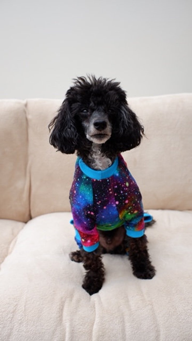 Dog Pyjama PDF Sewing Pattern All Sizes Bundle Etsy UK