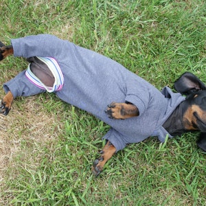 Sausage dog clothes pattern pdf sausage dog hoodie, sausage dog outfit for weiner dog