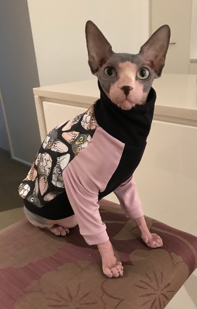Cat Jersey for Cats sphinx cat wearing handmade sweater pdf sewing pattern instant download